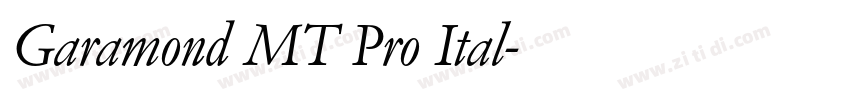 Garamond MT Pro Ital字体转换 Garamond MT Pro Ital字体转换